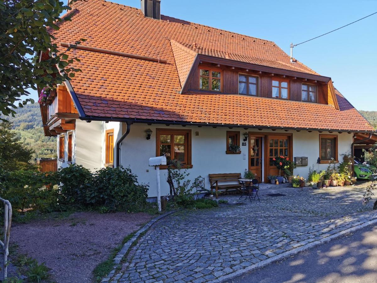 Am Fuchsbuehl * Schopfheim
